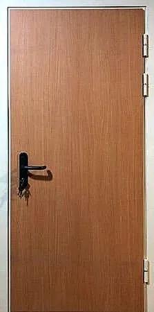 Противопожарная дверь Fahrenheit-60-1 (Противопожарная МДФ)